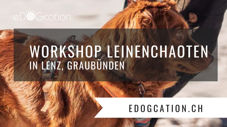 Leinenchaoten Workshop in Lenz